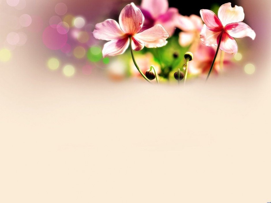 温馨浪漫粉色聊天背景图