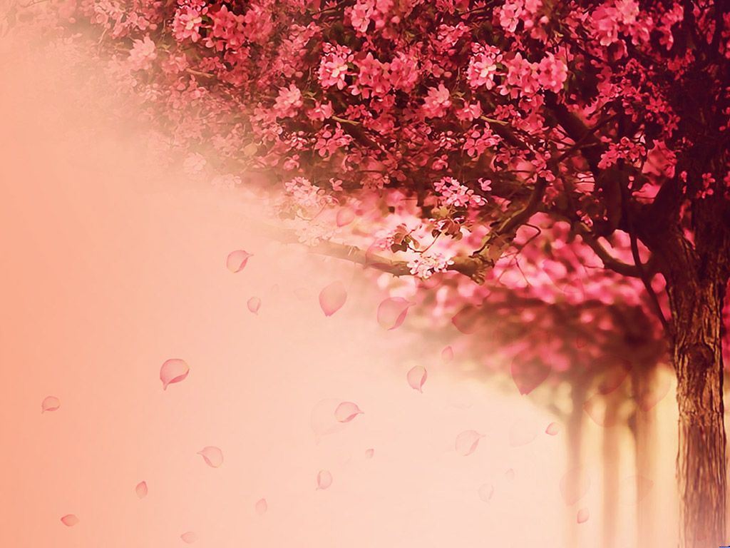 温馨浪漫粉色聊天背景图