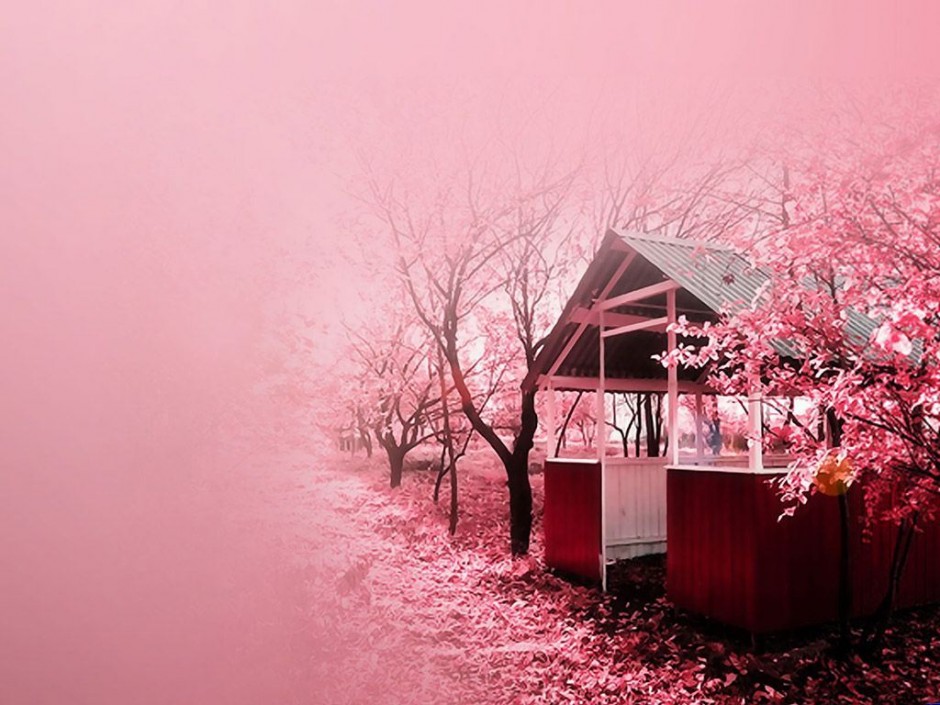 温馨浪漫粉色聊天背景图