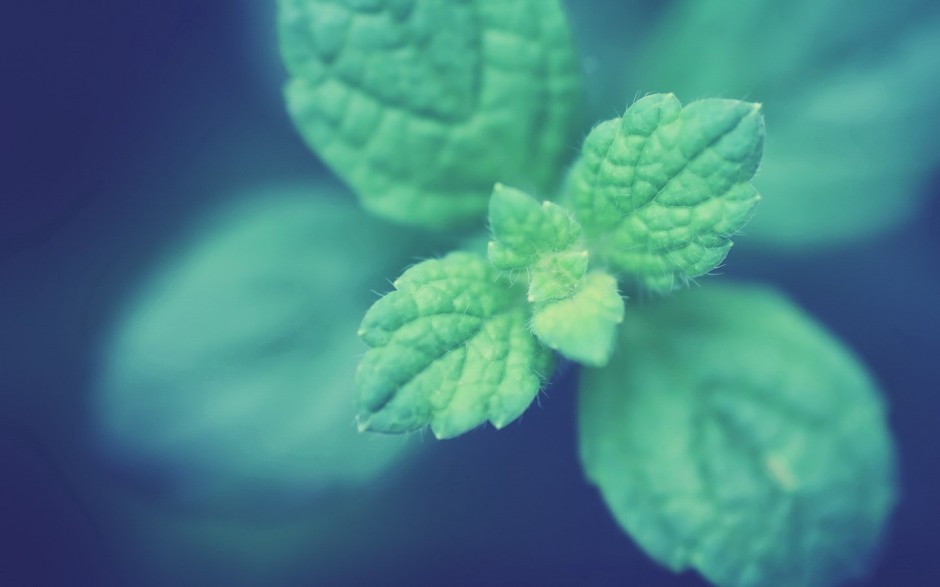 好看的小清新背景图片素材