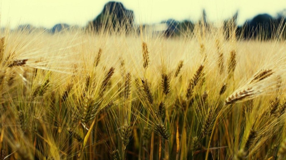 自然景色ppt背景图片素材