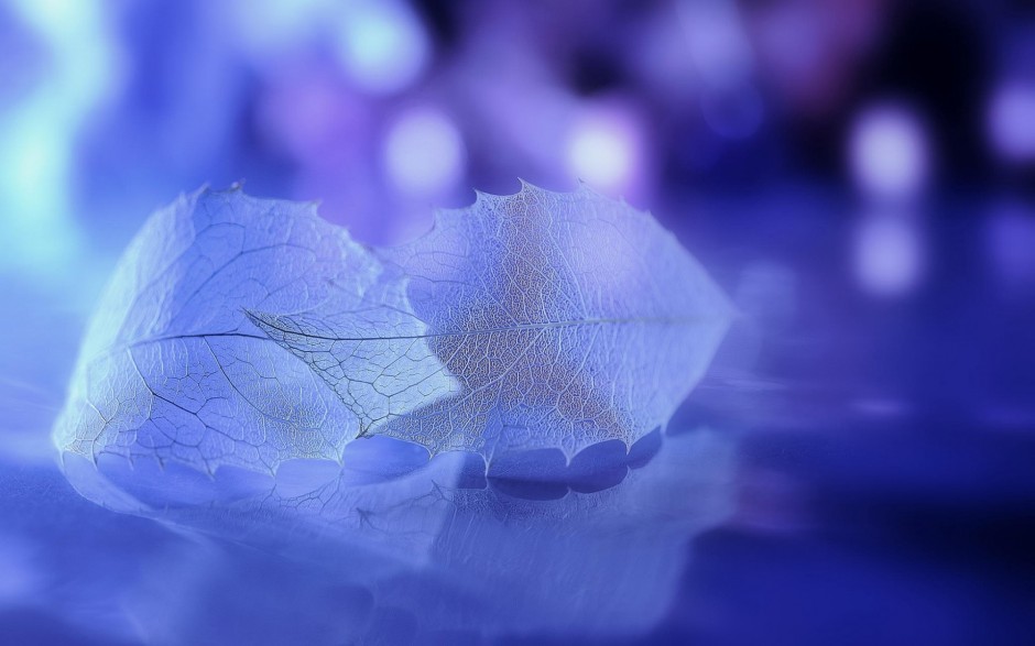 炫酷高清树叶ppt背景图