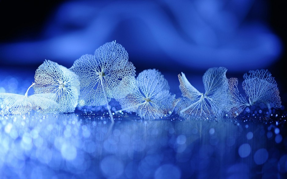 炫酷高清树叶ppt背景图