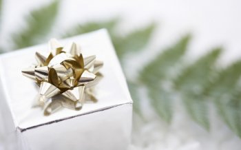 小清新唯美夏天背景图片