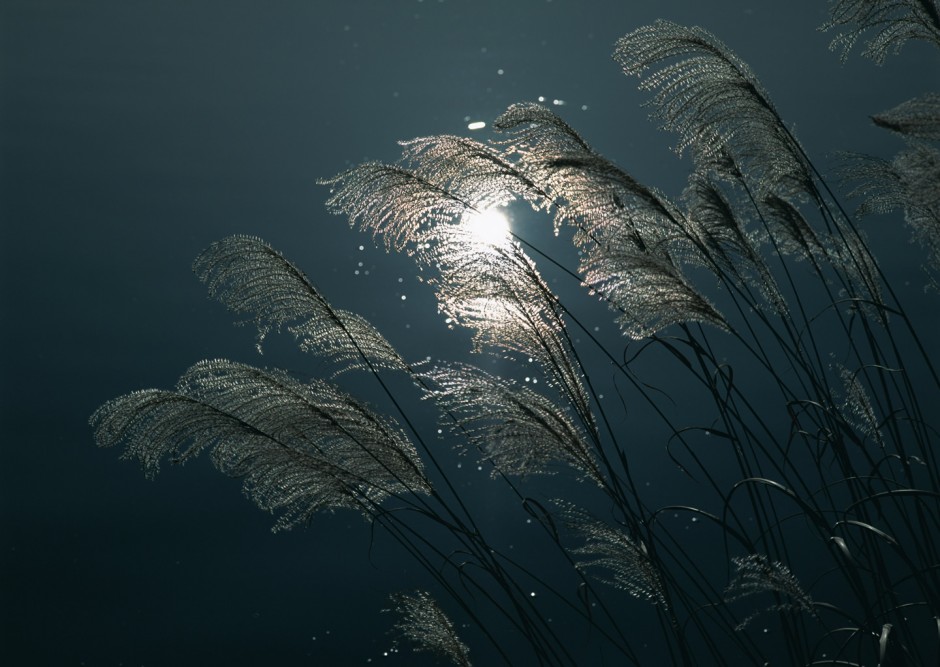 孤独月亮ppt背景图片素材