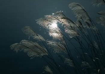 孤独月亮ppt背景图片素材