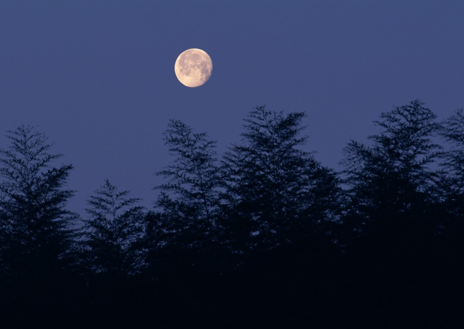 孤独月亮ppt背景图片素材