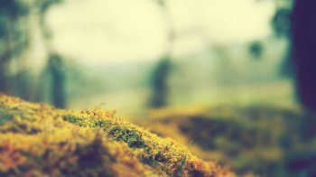 背景图片淡雅怀旧风格大全