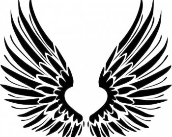 好看的黑白色带翅膀背景图