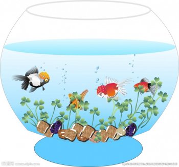 鱼缸淡雅蓝色背景图高清