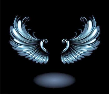 手型翅膀的黑色背景图片赏析