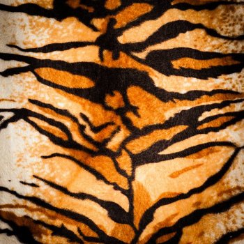 课件ppt背景图片素材老虎皮革赏析