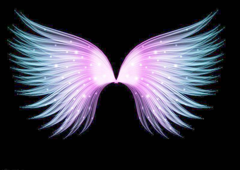 翅膀炫彩背景图片高清大图