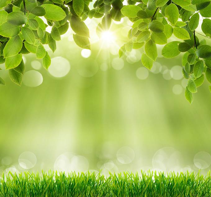 春天好看绿色唯美ppt背景图片