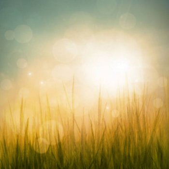 2016年会大自然草地海报背景图片