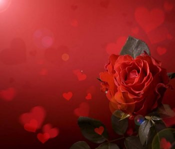 玫瑰花梦幻唯美背景图片