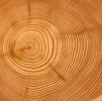 木头圆形年轮时尚背景图竖图