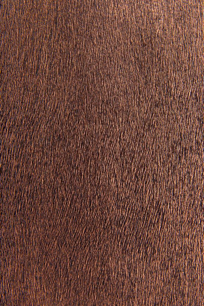 个性仿蛇皮纹理桌面ppt背景图片高清