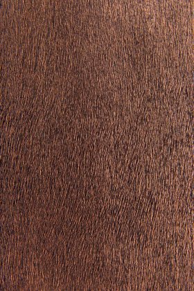 个性仿蛇皮纹理桌面ppt背景图片高清