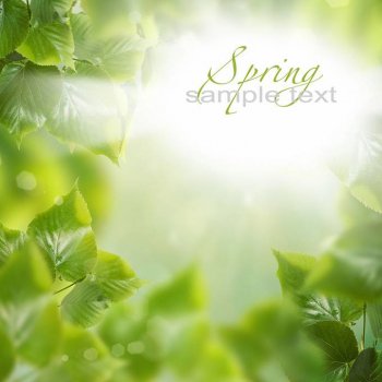 微信时尚背景图片梦幻树叶类