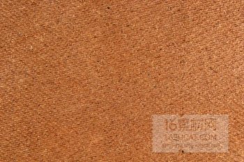 冬季树木横截面纹理背景图片