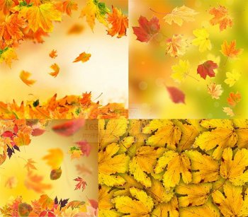 ppt个性背景图片唯美高清秋天落叶