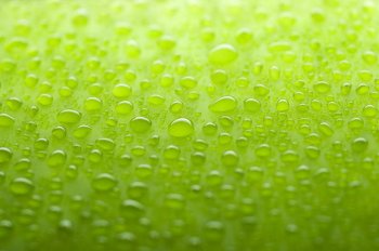 ppt背景图片淡雅绿色水珠摄影