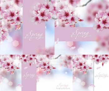 淡雅粉色花卉图片背景