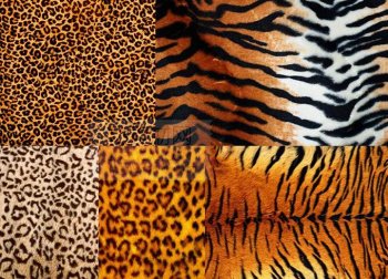 ppt课件背景图片老虎毛皮背景
