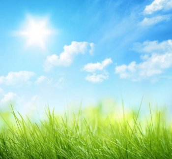 蓝天白云与绿草背景图片高清