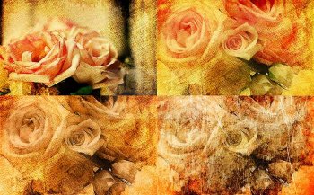 ppt背景图片复古玫瑰花