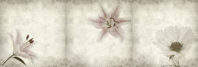 初中美术作业淡雅背景图片