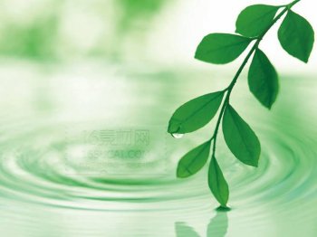 树叶与水纹ppt简约背景图