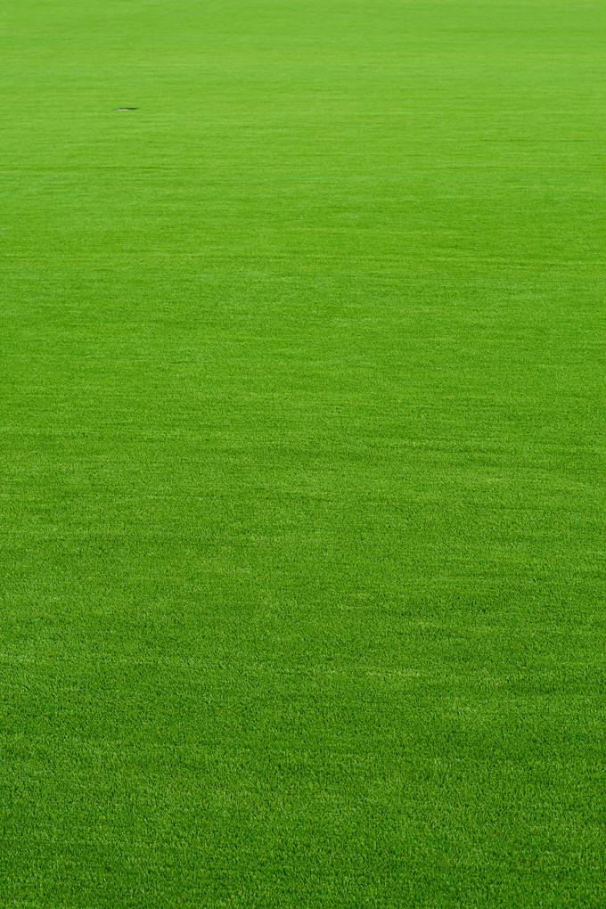 桌面小清新绿色背景图片