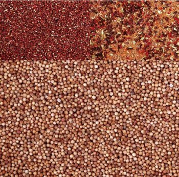 简历封面五谷杂粮背景图片