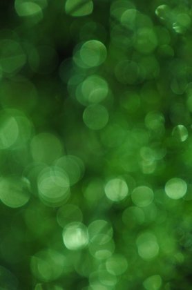 疯狂猜图绿色梦幻光晕背景