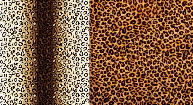 豹纹个性电脑桌面背景图片