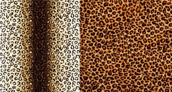 豹纹个性电脑桌面背景图片