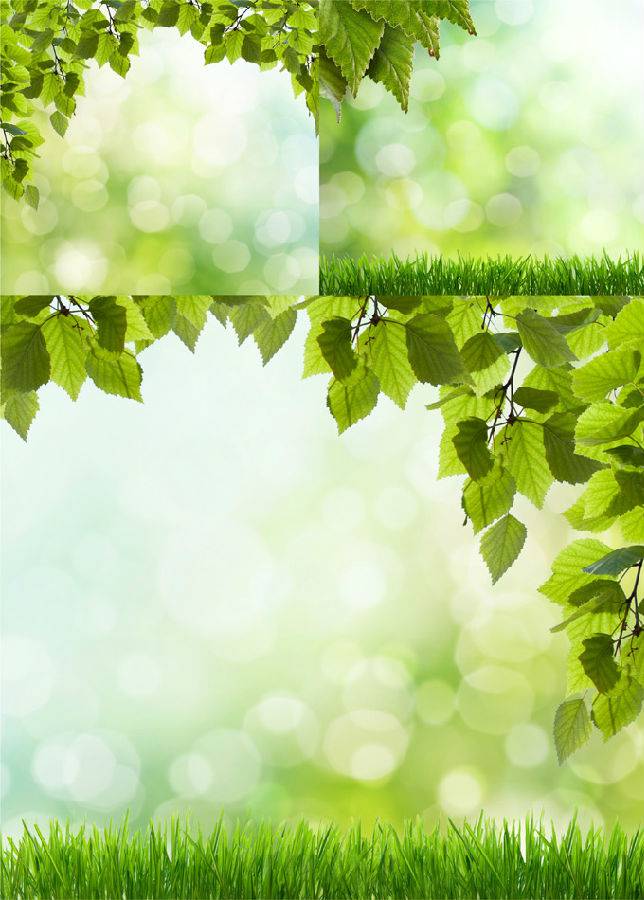 微信树叶草地背景图片