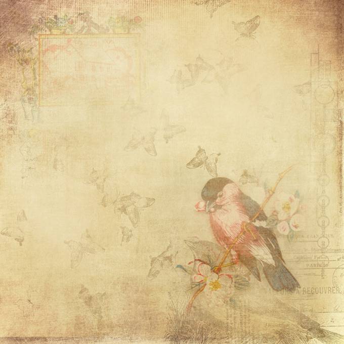 背景墙图片qq欧美复古泛黄牛皮信纸