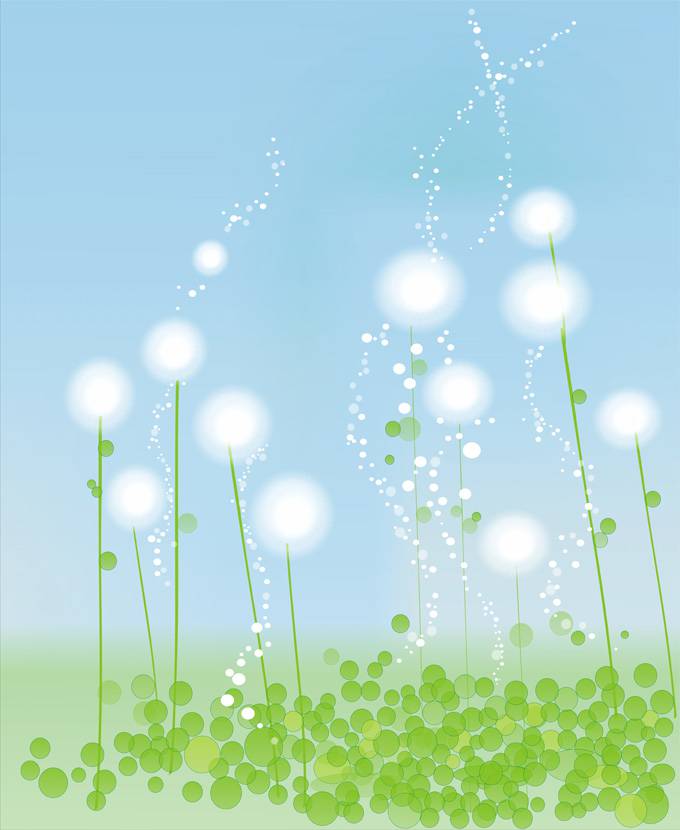 蒲公英背景图片 淡雅