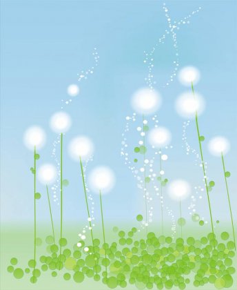 蒲公英背景图片 淡雅