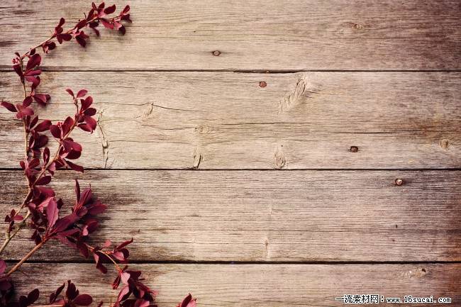 逼真木板qq名片背景图片