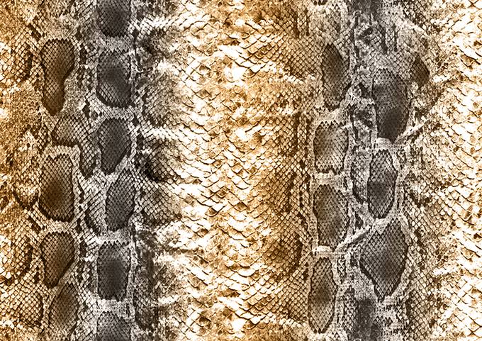 蛇皮纹理qq个性背景图片