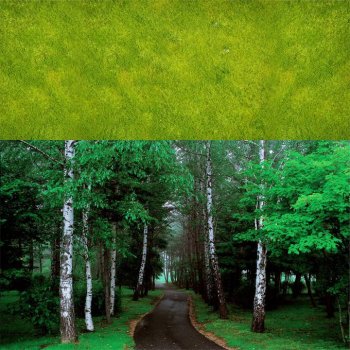 背景图片风景素材大全