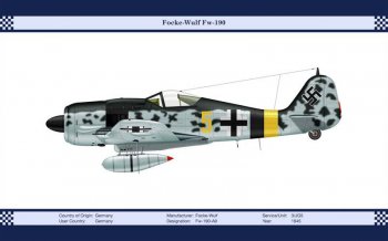 银鹰展翅军用飞机图片大全