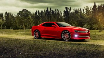 外表惊世内在骇俗的雪佛兰科迈罗大黄蜂组图