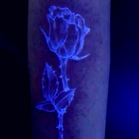 艳丽色彩的微信纹身头像图片