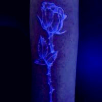 艳丽色彩的微信纹身头像图片