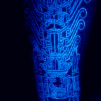 艳丽色彩的微信纹身头像图片